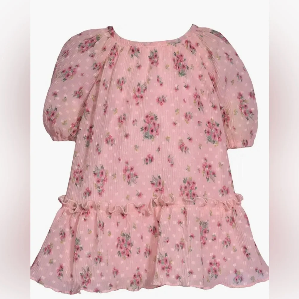 Bonnie Jean Trapeze Dress. Size 2T